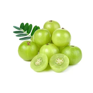 100% Produit à base de plantes Amla beauté et soin entier biologique du fabricant indien - Product Image 5