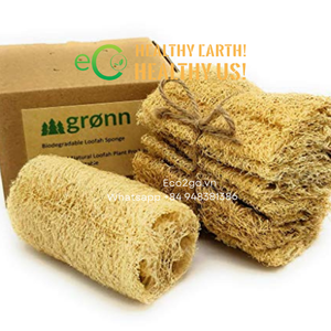 ¡2024! Esponja de lufa ecológica orgánica Natural para baño/ducha, esponja de lufa a granel hecha de Material de alta calidad 100% en Vietnam - Product Image 3
