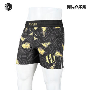 Pantalones Cortos de MMA Sin Gi con Logotipo Personalizado para Hombre, Pantalones Cortos Ligeros para Entrenamiento de Grappling, Elásticos en 4 Direcciones, Ropa de Lucha BJJ, Hechos en Pakistán - Product Image 2
