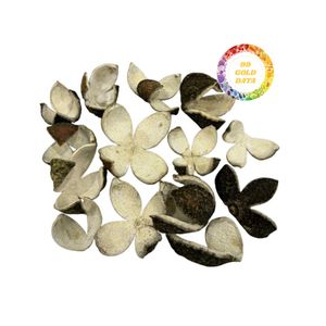 Prix de gros Extrait de poudre de zeste de mandarine séchée naturelle pure ORANGE SÉCHÉE VERTE Origine Vietnam Processus FD - Product Image 5