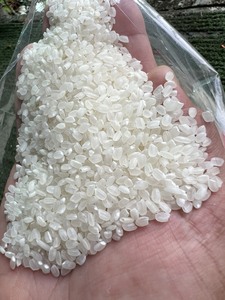 ข้าวบาสมาติก2025นาข้าวขาวเวียดนามต้นซูชิญี่ปุ่นนิก้าข้าวบาสมาติสำหรับทำอาหาร + 84398885178-vilaconic - Product Image 6