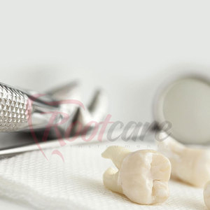 Pinzas de Acero Inoxidable con Patrón Americano Número 23 de Marca Privada - Product Image 2
