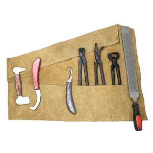 Recién llegado, juego de mantenimiento de pezuña de caballo, herramientas de recorte, pezuña curvada y cuchillo de huevo Bot, cortador de remache, pinza de 12 ", amortiguador de doble cara - Product Image 2
