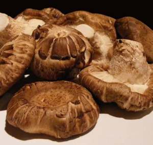 Hongos Shiitake Crudos Cultivados Orgánicamente 10 kg Secos - Product Image 3