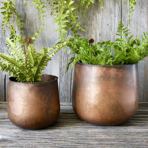 Macetas Modernas para Plantas con Base Redondeada, Acabado en Textura Dorada de Aluminio, en Venta - Product Image 6
