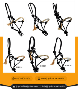 Logo personnalisé corde en nylon licou cheval tack nez bande tressée par cuir brut RH00111/112/1113/114/115/116 corde de plomb - Product Image 2