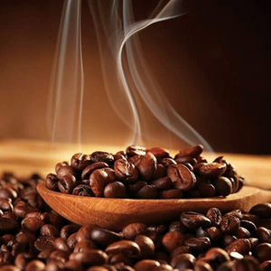 เมล็ดกาแฟโรบัสต้าเมล็ดกาแฟสีเขียวผลิตจากเวียดนาม - Product Image 5