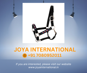 Haute Qualité Nylon Équestre Halter Bling Holland Noir Cuir Style Corde Halter à Prix Compétitif - Product Image 2