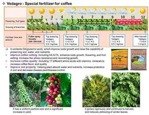 FERTILIZANTE ORGÁNICO COMPUESTO GRANULO Fertilizante de nitrógeno de liberación lenta para agricultura PARA ÁRBOL DE CAFFE - Product Image 2
