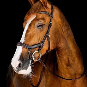Brida para Caballo Duradera, Totalmente Personalizable, Ajustable, de Alta Calidad, Cuero Suave, Acolchado Suave, Herrajes de Acero Inoxidable, Colores Personalizados - Product Image 1