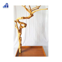 Perchoir en spirale pour oiseaux en bois de Java, durable et moderne, pour usage extérieur, écologique, origine Vietnam, marque Thanh Tung Thinh