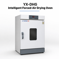 Four de séchage à air forcé de laboratoire YX-DHG, protection IP65, précision 0,1, 1600W-5000W, pour charbon et essais de combustibles biomasse