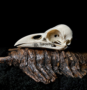 Statue d'animal sculptée en résine de designer Tradebyd, qualité supérieure, objet décoratif artistique de collection pour l'intérieur de la maison, cadeau - Product Image 1