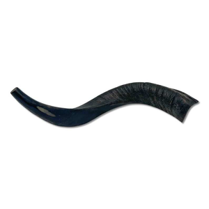 Shofar Kosher Hecho a Mano, Cuerno de Kudú Polaco Genuino, Artesanía Natural Rústica y Moderna para Yom Kippur, Judío, Cristiano - Product Image 4
