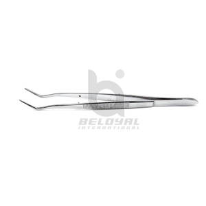 Pince à coton dentaire Pince à épiler en acier inoxydable Outils de dentiste Instruments de chirurgie orale Pince à coton en acier inoxydable de haute qualité - Product Image 4