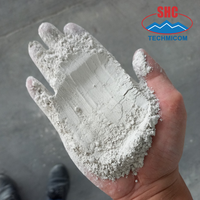 Pasokan Massal Bubuk Putih Kapur Tawar Kemurnian Tinggi (90%-97% CaO) 180-200 Mesh untuk Blok AAC Ekspor Vietnam |   Grup SHC