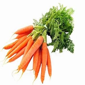 Carotte fraîche biologique bien lavée disponible pour l'expédition à bas prix - Product Image 2