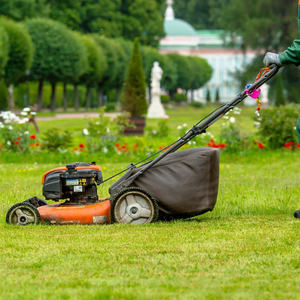 Tondeuse à gazon électrique écologique édition 2025 coupe d'herbe de jardin durable équipement extérieur - Product Image 1