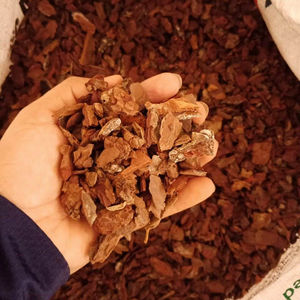 Extracto de corteza de pino, calidad Industrial, corteza de pino pulida, 2,5-4,5cm - Product Image 2