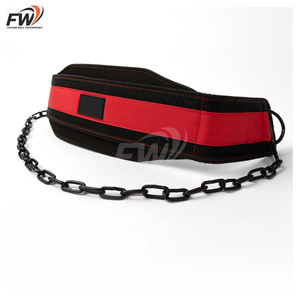 Cinturón de Gimnasio Personalizado y Resistente con Soporte Lumbar Acolchado y Cadena de Acero para Dominadas con Peso, Flexiones y Sentadillas - Product Image 5