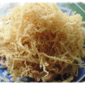 PREMIUM QUALITY SARGASSUM SEAWEED <b>POWDER</b> 100 PERCENT NATURAL - Product Image 4