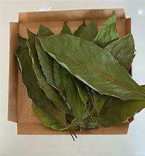 ผลิตภัณฑ์สมุนไพรธรรมชาติใบอะโวคาโดแห้งบริสุทธิ์สำหรับดีท็อกซ์ทำความสะอาดฉลากเพื่อสุขภาพ - Product Image 4