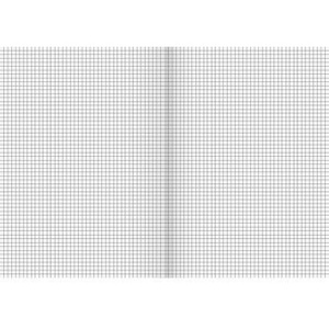 Cuaderno Escolar Cuadriculado BRUNNEN DIN A4, 22/32 Hojas para Estudiantes - Product Image 1