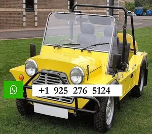 Mini Moke NEW 100% Electric Cars For Sale 100% Brand New Same Day Shipment Worldwide Delivery