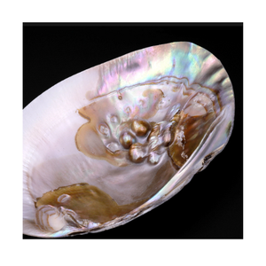 Assiette nacre en coquillage naturel, idéal pour la décoration intérieure de luxe, porte-bijoux ou plateau de service Vietnam - Product Image 2