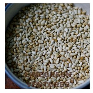Vente en gros de graines de carthame | Carthamus Seeds Exportation de l'Inde Carthamus tinctorius Exportateur de carthame en vrac - Product Image 4