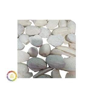 TARO CONGELADO DE BUENA CALIDAD AL POR MAYOR CON PRECIO COMPETITIVO VENTA A GRANEL TARO CONGELADO DE PROVEEDOR VIETNAMÉS - Product Image 2