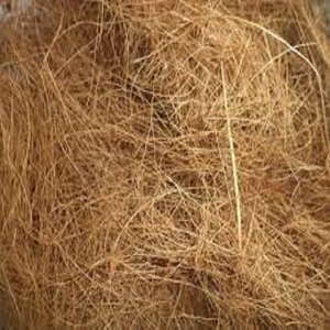 Fibre de noix de coco naturelle de haute qualité pour matelas brosses cordes tapis de culture paillis fibre de coco vente en gros de l'Inde - Product Image 2