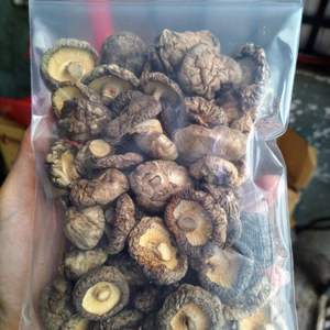 Champignon Shiitake séché naturel du Vietnam avec un prix compétitif - Product Image 3