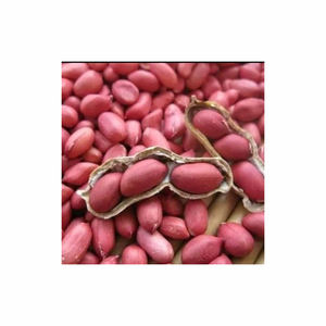 Cacahuetes secos orgánicos sin OGM de alta calidad, producto a granel de buena calidad, cacahuetes crudos molidos naturales - Product Image 5