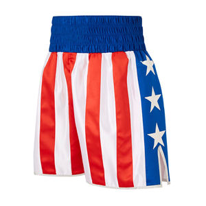 Wholesale High Quality Customizable Comfortable Original Fight Shorts for Martial Arts Training Boxing Outdoor Sports Activities - Product Image 5