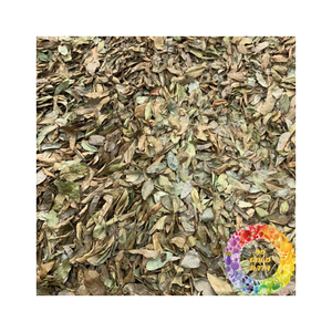 Vietnam Origin Dried Soursop Leaf Carefully Dried Soursop Leaf For Herbal <b>Tea</b> Industry High Quality Dried Soursop Leaf Wholesale - Product Image 4