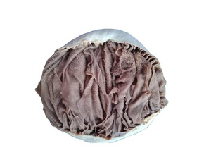 Frozen <b>Beef</b> Salted Omasum / <b>Beef</b> Offal Dried Salted <b>Beef</b> Omasum Ready for Export Thailand Origin - Product Image 5
