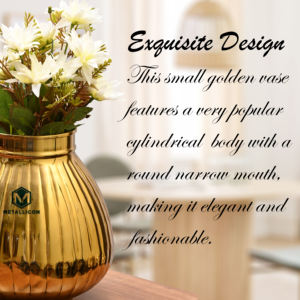 Pot de fleurs en laiton artisanal, design indien traditionnel avec finition martelée, décoration polyvalente, récipient de rangement doré - Product Image 5