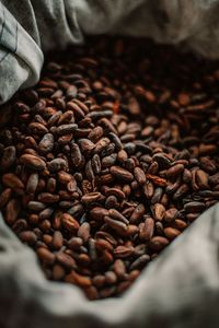 Ca Cao Cao Cấp Chất Lượng Tự Nhiên Ca Cao Tây Phi Ca Cao Hạt Nhà Cung Cấp Bán Buôn - Product Image 6