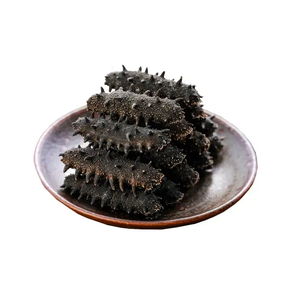 Prix le plus bas pour les concombres de mer séchés - PRODUITS DE LA MER SÉCHÉS et CONGELÉS disponibles ici à la vente - Product Image 3