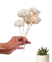 Diffuseur de fleurs en bois Sola Parfum avec bâton de rotin Diffuseur de roseaux Sola Flower avec bâton de rotin