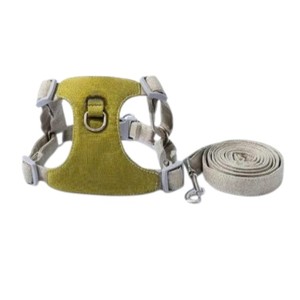 Ensemble de collier pour chien Hong Hyun Yuma, réfléchissant, réglable, durable, lumières, motif animal, style classique, doux, polyester/nylon, toutes saisons - Product Image 1