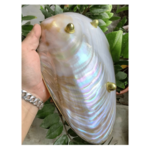 ถาดเปลือกหอยมุกธรรมชาติ สำหรับใส่สบู่ จัดระเบียบโต๊ะเครื่องแป้ง และตกแต่งบ้าน ผลิตจากเวียดนาม - Product Image 2