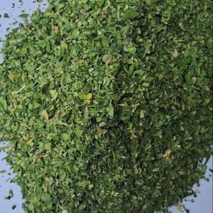 Tisane à feuilles cultivées et poudre séchée d'exportateur de qualité d'extrait - Product Image 1