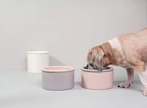 Korea Luxury Handmade Ceramic Pet Bowl Set for <b>Cats</b> & Dogs high-fiber satisfying kitty-favorite all-ages small-breed convenient - Product Image 1