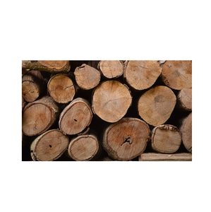 Troncos de madera de eucalipto secados al horno para leña/barbacoa-Divididos y condimentados - Product Image 5