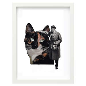 Collage de impresiones A4 - Gatos 21x29.7cm - Collage sarcástico - Product Image 1