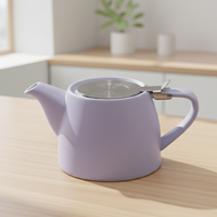 Théière en céramique de qualité supérieure 3460122-0.5, pot à infuser réutilisable 550ML, revêtement émaillé, design mignon pour le service quotidien du thé