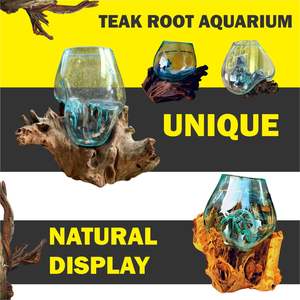 TEAK <b>GLASS</b> AQUARIUM FOR HOME DECORATIONS - Product Image 1