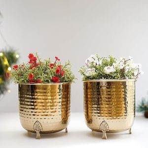 Maceta Perfection Macter puede transformar sus plantas, planta de amor, elevando su vegetación con macetas elegantes - Product Image 1